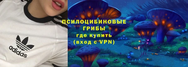 дживик Переславль-Залесский