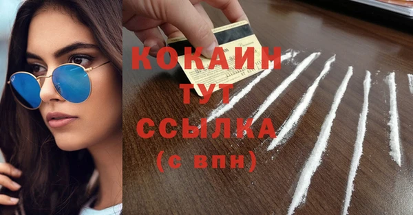 дживик Переславль-Залесский