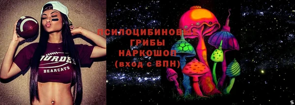 дживик Переславль-Залесский